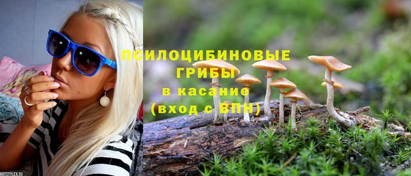 шишки Елабуга