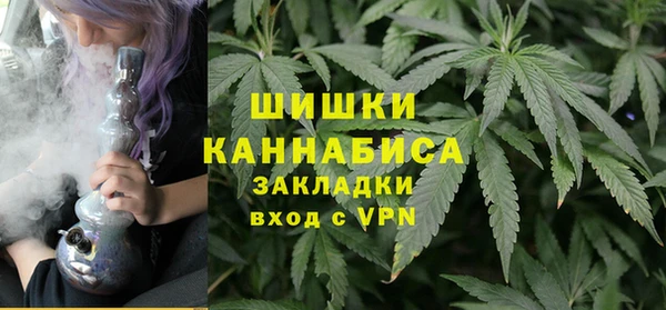 шишки Елабуга