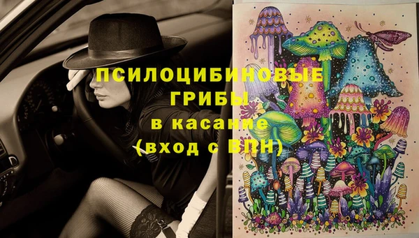 шишки Елабуга
