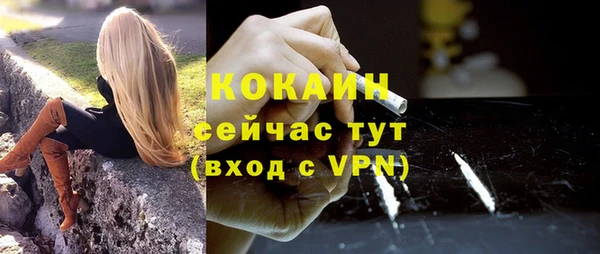шишки Елабуга