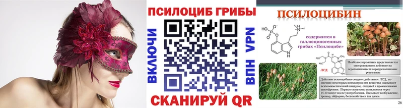 Псилоцибиновые грибы GOLDEN TEACHER  Купить где  Галич 